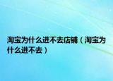 淘宝为什么进不去店铺（淘宝为什么进不去）