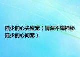 陆少的心尖蜜宠（情深不悔神秘陆少的心间宠）