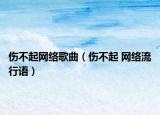伤不起网络歌曲（伤不起 网络流行语）