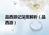 品西游记深度解析（品西游）