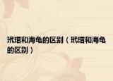 玳瑁和海龟的区别（玳瑁和海龟的区别）