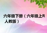 六年级下册（六年级上R 人教版）