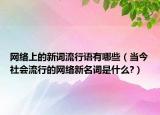 网络上的新词流行语有哪些（当今社会流行的网络新名词是什么?）