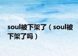 soul被下架了（soul被下架了吗）