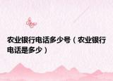 农业银行电话多少号（农业银行电话是多少）