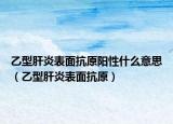 乙型肝炎表面抗原阳性什么意思（乙型肝炎表面抗原）