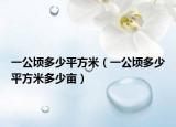 一公顷多少平方米（一公顷多少平方米多少亩）