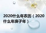 2020什么年农历（2020什么年庚子年）