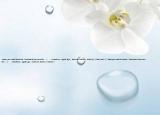 -Have（you read the book  -YesI read it two months ．（　　）A.before； agoB. ago； beforeC. before； before