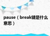 pause（break键是什么意思）
