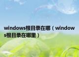 windows根目录在哪（windows根目录在哪里）