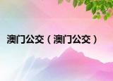 澳门公交（澳门公交）