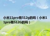 小米11pro有512g的吗（小米11pro有512G的吗）
