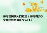 海南各民族人口数量（海南有多少少数民族各有多少人口）