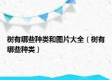 树有哪些种类和图片大全（树有哪些种类）