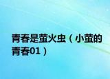 青春是萤火虫（小萤的青春01）