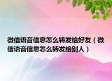 微信语音信息怎么转发给好友（微信语音信息怎么转发给别人）