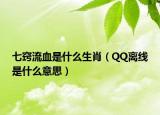 七窍流血是什么生肖（QQ离线是什么意思）