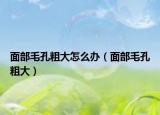 面部毛孔粗大怎么办（面部毛孔粗大）