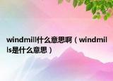 windmill什么意思啊（windmills是什么意思）