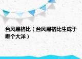 台风黑格比（台风黑格比生成于哪个大洋）