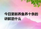 今日更新养鱼养十条的讲解是什么