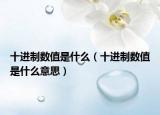 十进制数值是什么（十进制数值是什么意思）