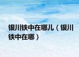 银川铁中在哪儿（银川铁中在哪）