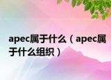 apec属于什么（apec属于什么组织）