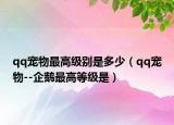qq宠物最高级别是多少（qq宠物--企鹅最高等级是）