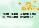 你是我一生的唯一是哪首歌（你是我一生永远的唯一歌名是什么）