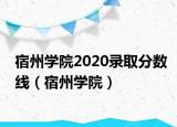 宿州学院2020录取分数线（宿州学院）