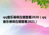 qq音乐等级在哪里看2020（qq音乐等级在哪里看2021）