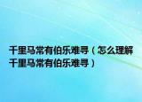 千里马常有伯乐难寻（怎么理解千里马常有伯乐难寻）