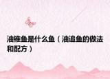 油锥鱼是什么鱼（油追鱼的做法和配方）