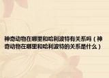 神奇动物在哪里和哈利波特有关系吗（神奇动物在哪里和哈利波特的关系是什么）