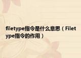 filetype指令是什么意思（Filetype指令的作用）