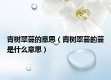 青树翠蔓的意思（青树翠蔓的蔓是什么意思）