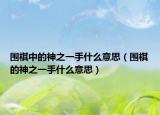 围棋中的神之一手什么意思（围棋的神之一手什么意思）