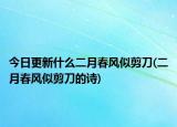今日更新什么二月春风似剪刀(二月春风似剪刀的诗)