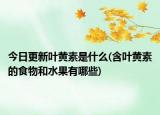 今日更新叶黄素是什么(含叶黄素的食物和水果有哪些)