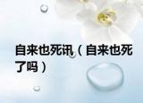 自来也死讯（自来也死了吗）