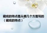 藏戏的特点是从哪几个方面写的（藏戏的特点）