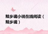 黯乡魂小说在线阅读（黯乡魂）