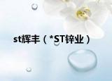 st辉丰（*ST锌业）