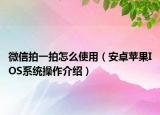 微信拍一拍怎么使用（安卓苹果IOS系统操作介绍）