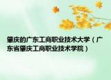 肇庆的广东工商职业技术大学（广东省肇庆工商职业技术学院）