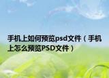 手机上如何预览psd文件（手机上怎么预览PSD文件）