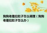 狗狗老是拉肚子怎么调理（狗狗老是拉肚子怎么办）
