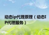 动态ip代理原理（动态IP代理服务）